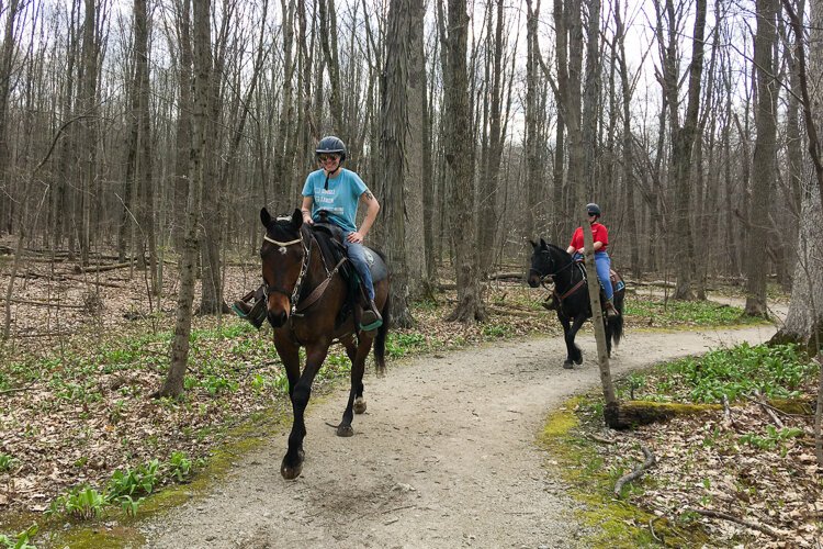Sharing the trail in Hinckley Reservation